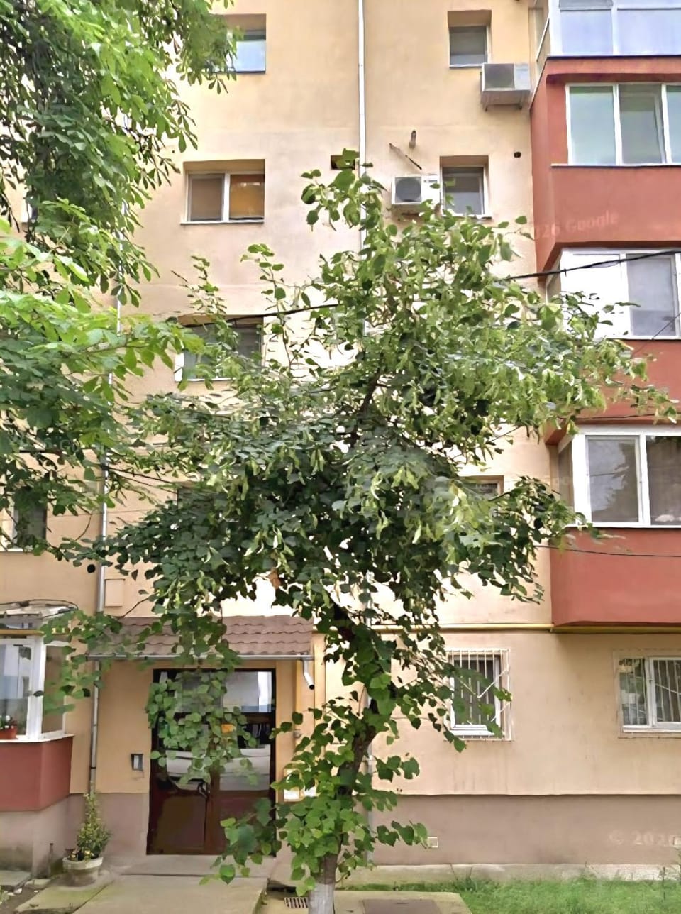 Property building, Day