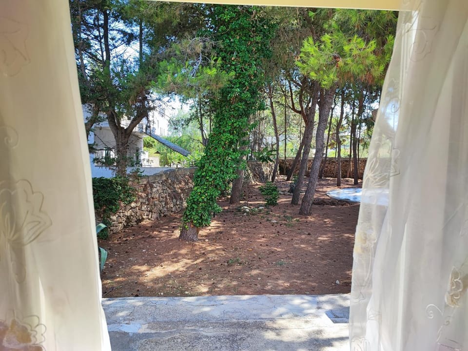 Garden, Floor plan, Garden view