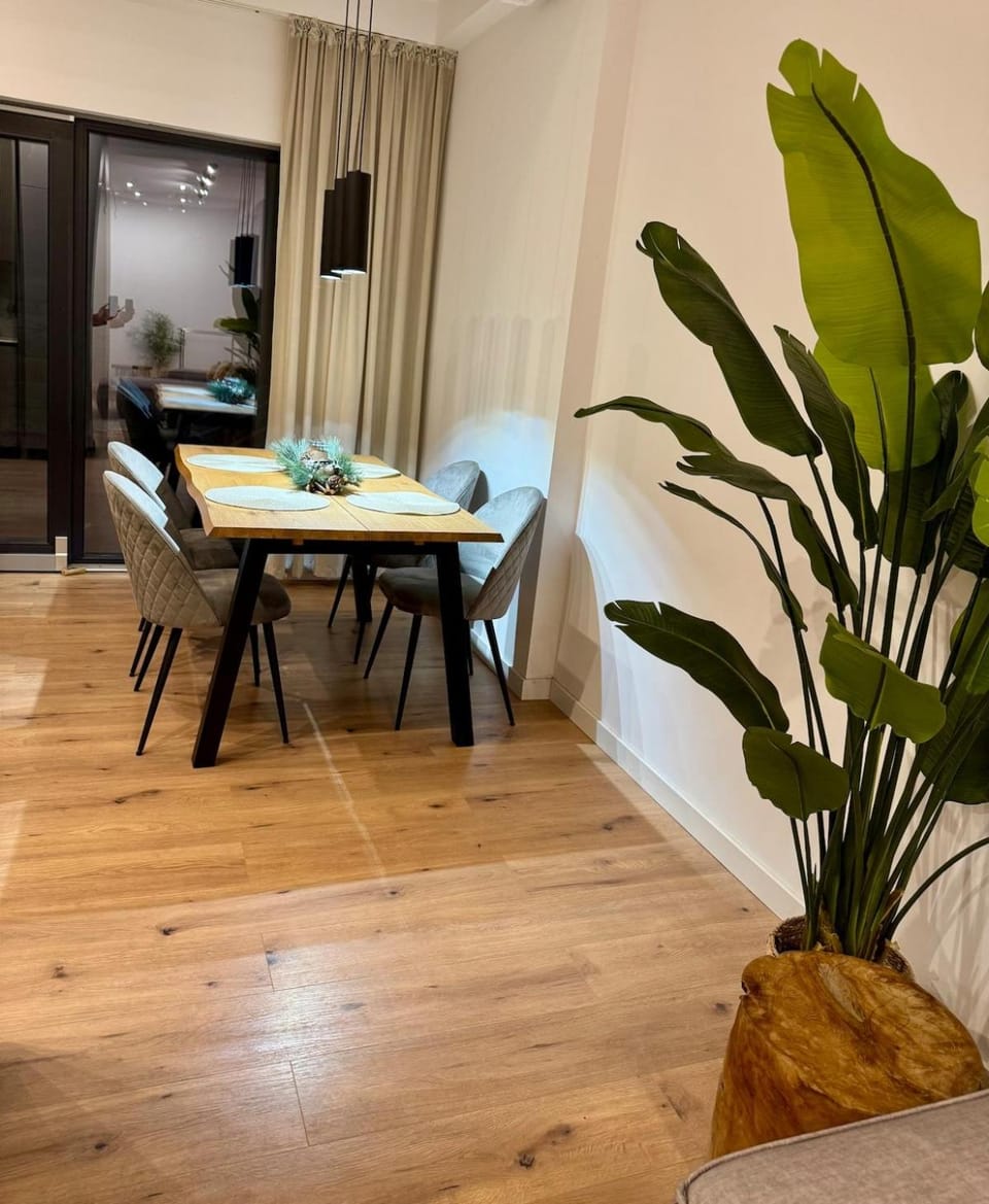 Central Christmas Apartment Private Terrace & Parking Apartment in Craiova