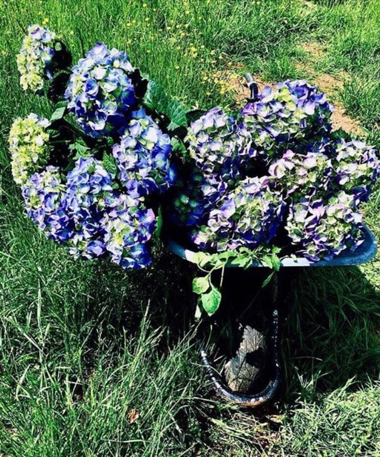 Les Chambres d'Hôtes du Bois Joli Bed and Breakfast in Bourgogne-Franche-Comté