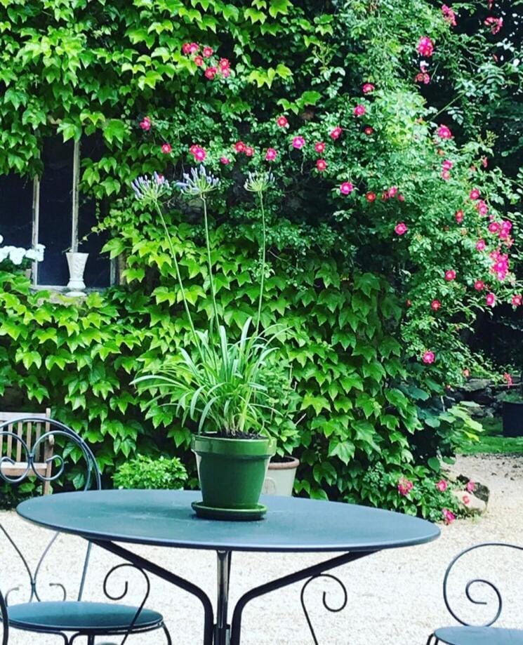 Les Chambres d'Hôtes du Bois Joli Bed and Breakfast in Bourgogne-Franche-Comté