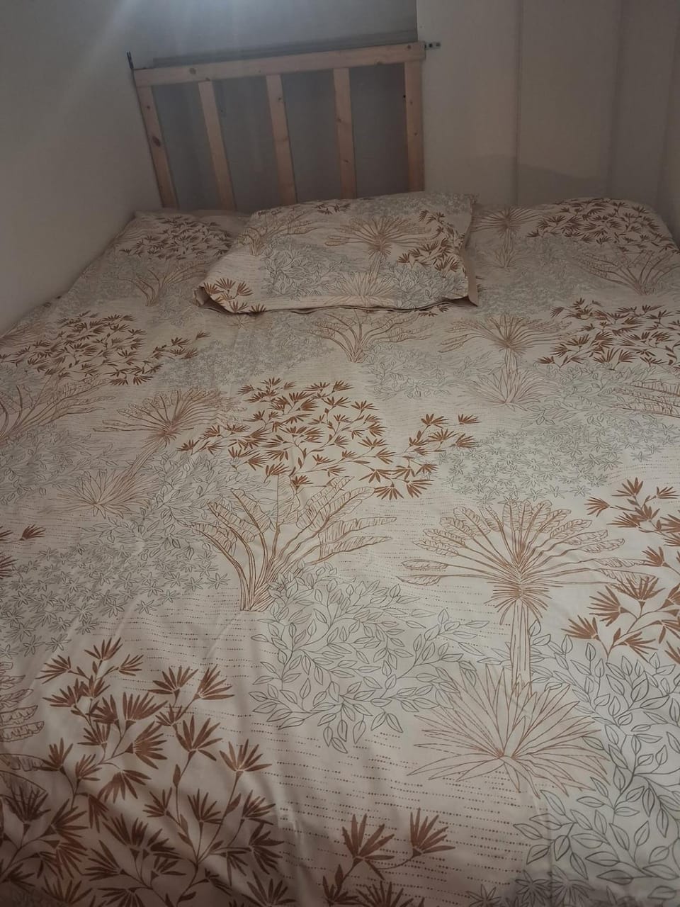 Cozy loft, proche du tram, Wi-Fi, smart TV Apartment in Saint-Étienne