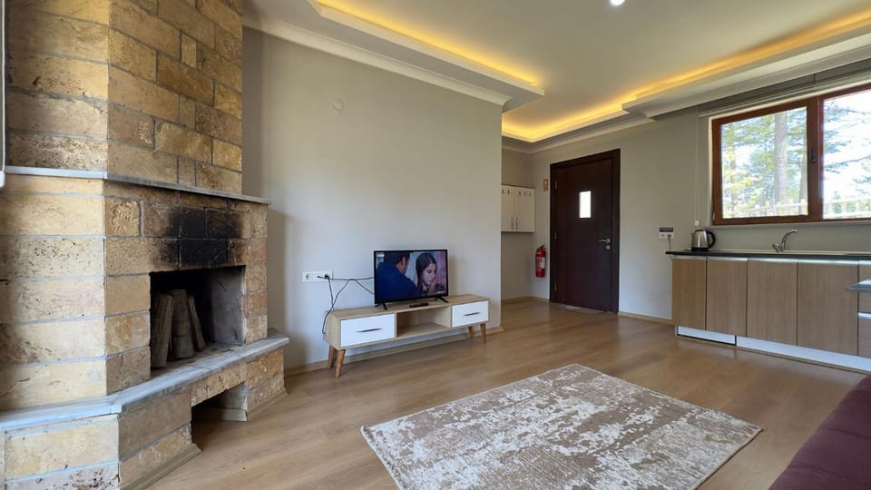Communal lounge/ TV room, TV and multimedia, Living room, fireplace