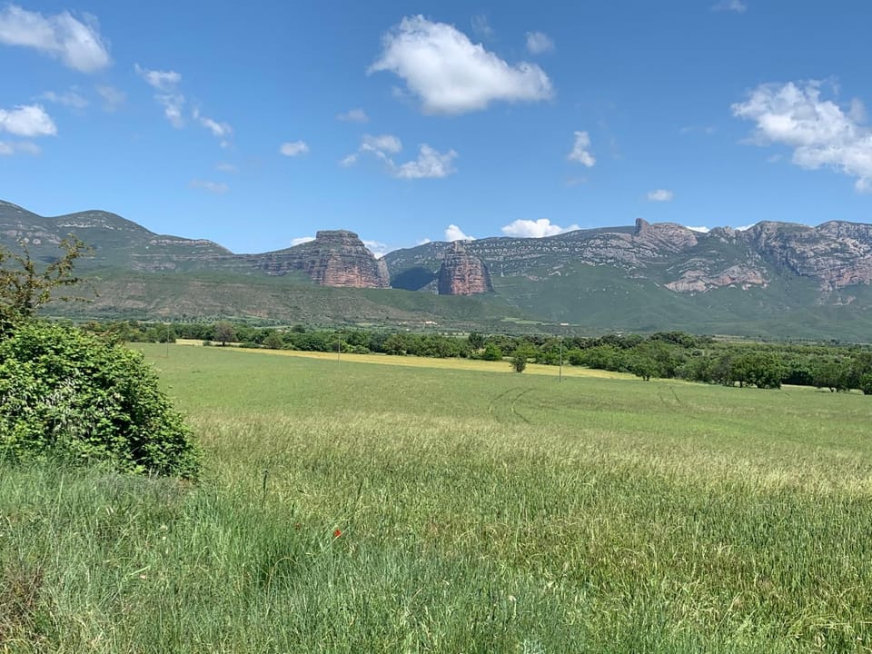 Natural landscape