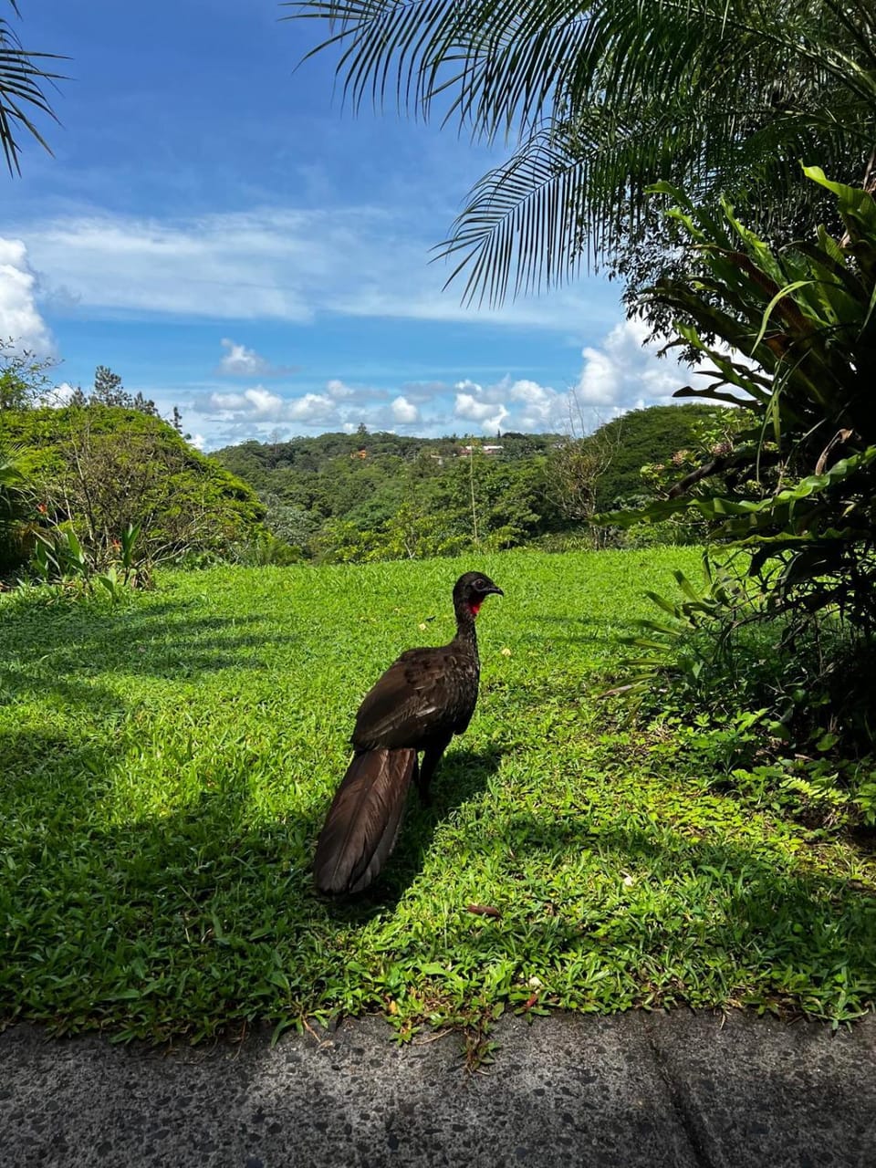 Arenal Villas Chalet in Nuevo Arenal