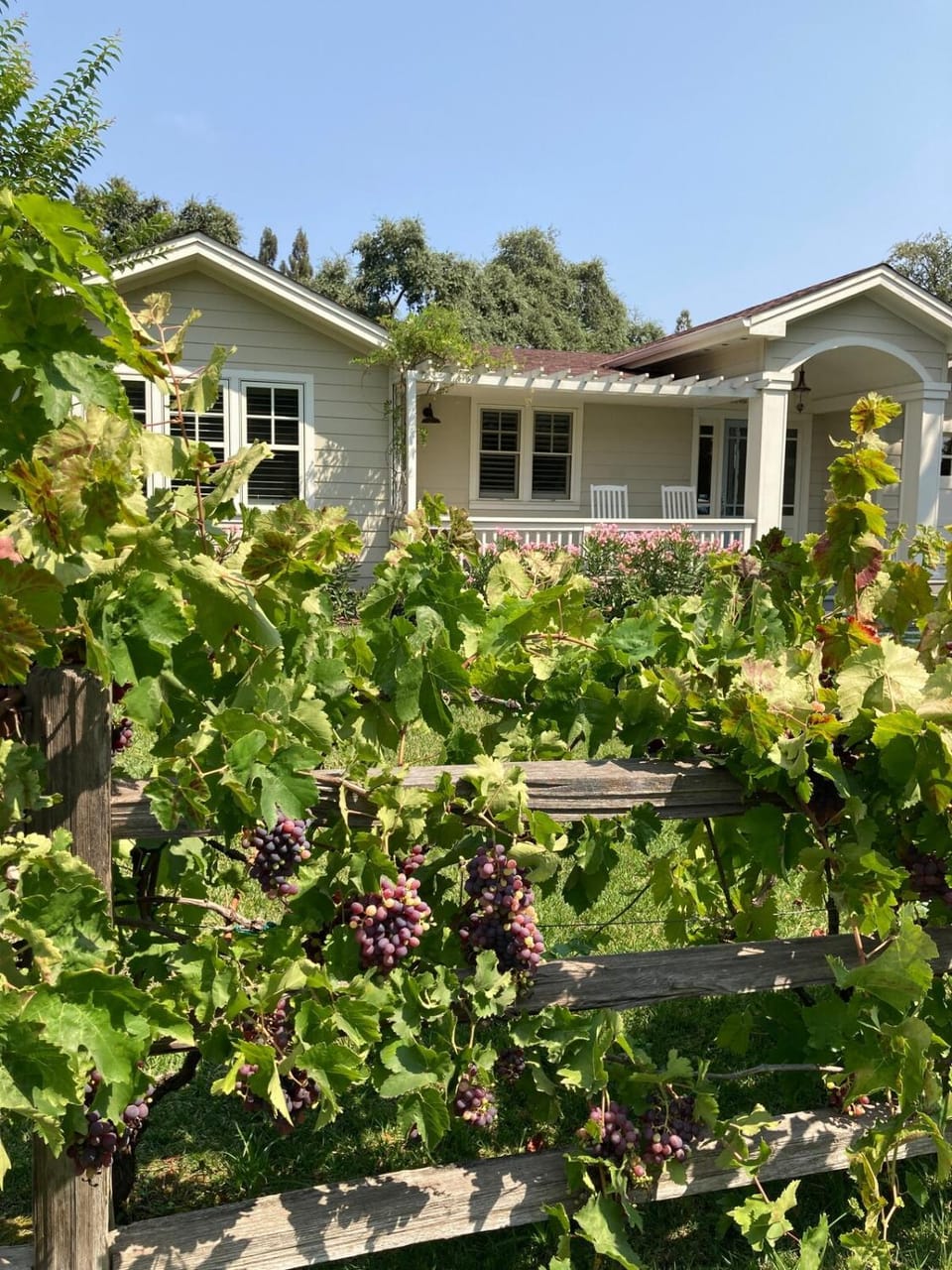 Walk to Historic Plaza with Pool, Spa & Bikes House in Sonoma