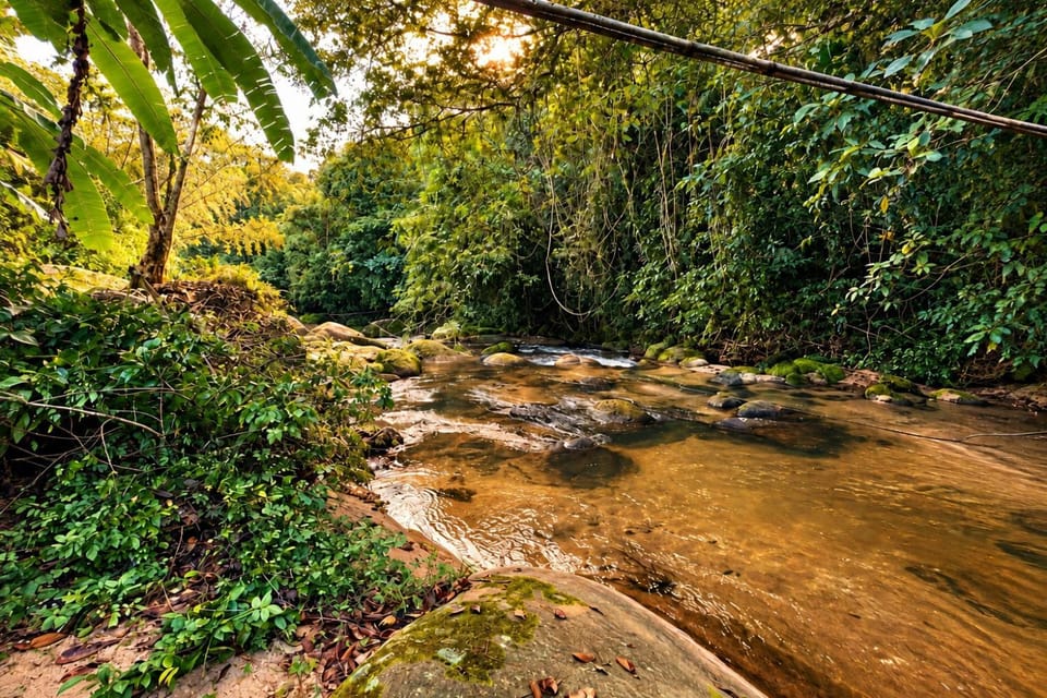 Nearby landmark, Spring, Day, Natural landscape, River view