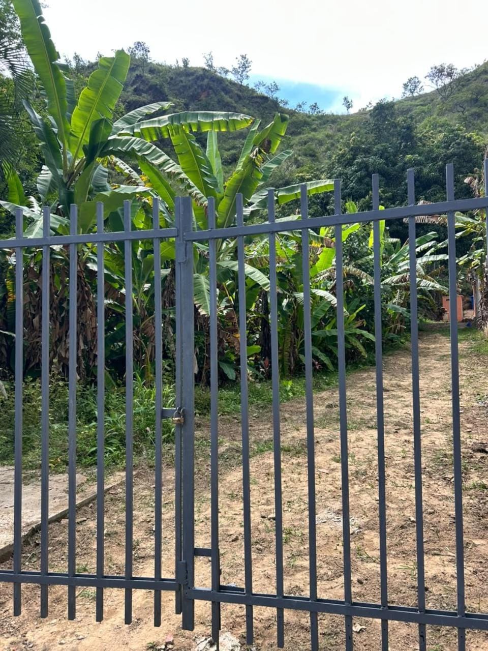 Casa de Huéspedes B&B Bed and Breakfast in Venezuela
