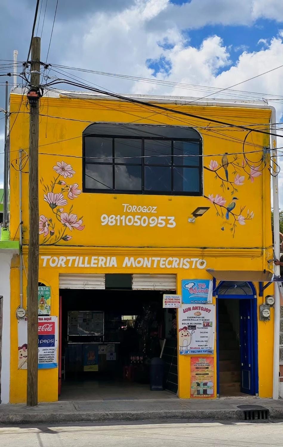 Torogoz Apartment in State of Yucatan