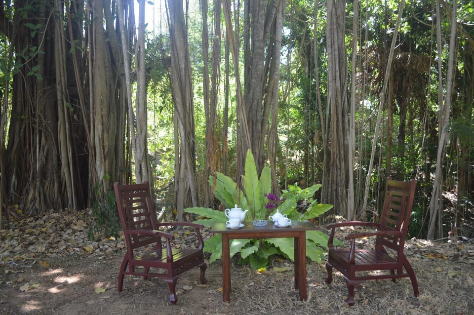 Garden, Garden view