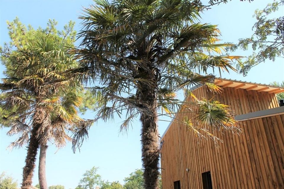 Property building, Natural landscape
