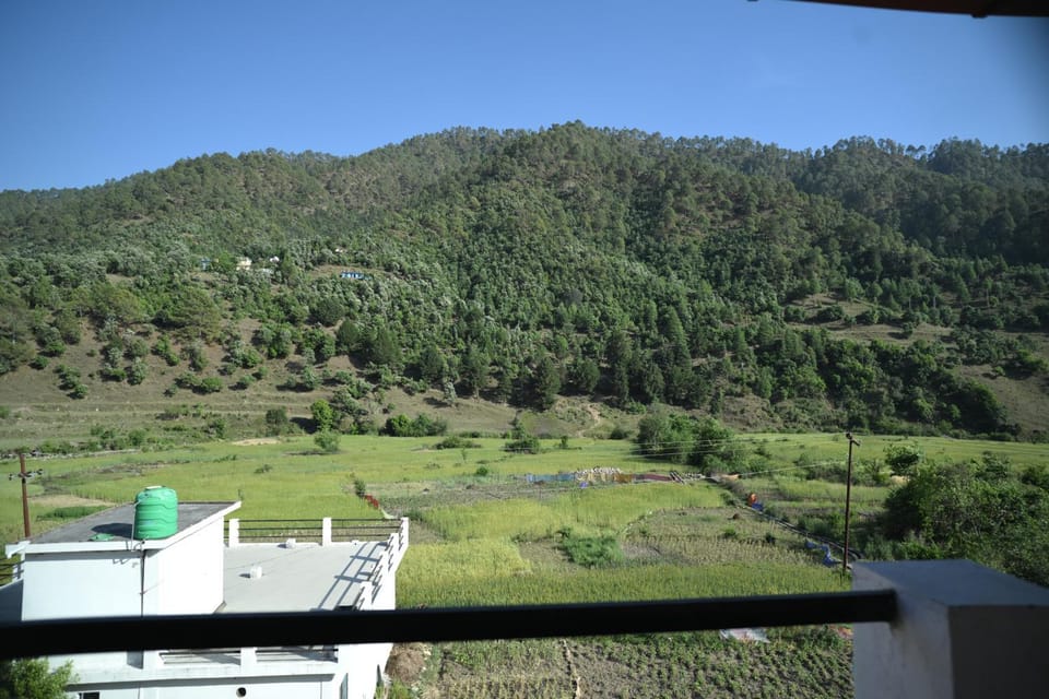 View (from property/room)