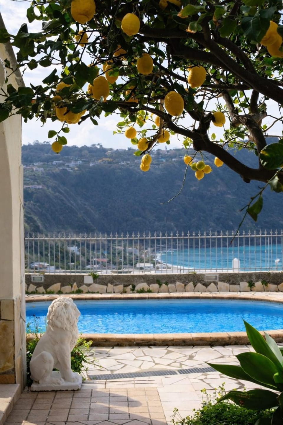 Alvillino, sea-view villa with pool in Forio Ischia Apartment in Forio