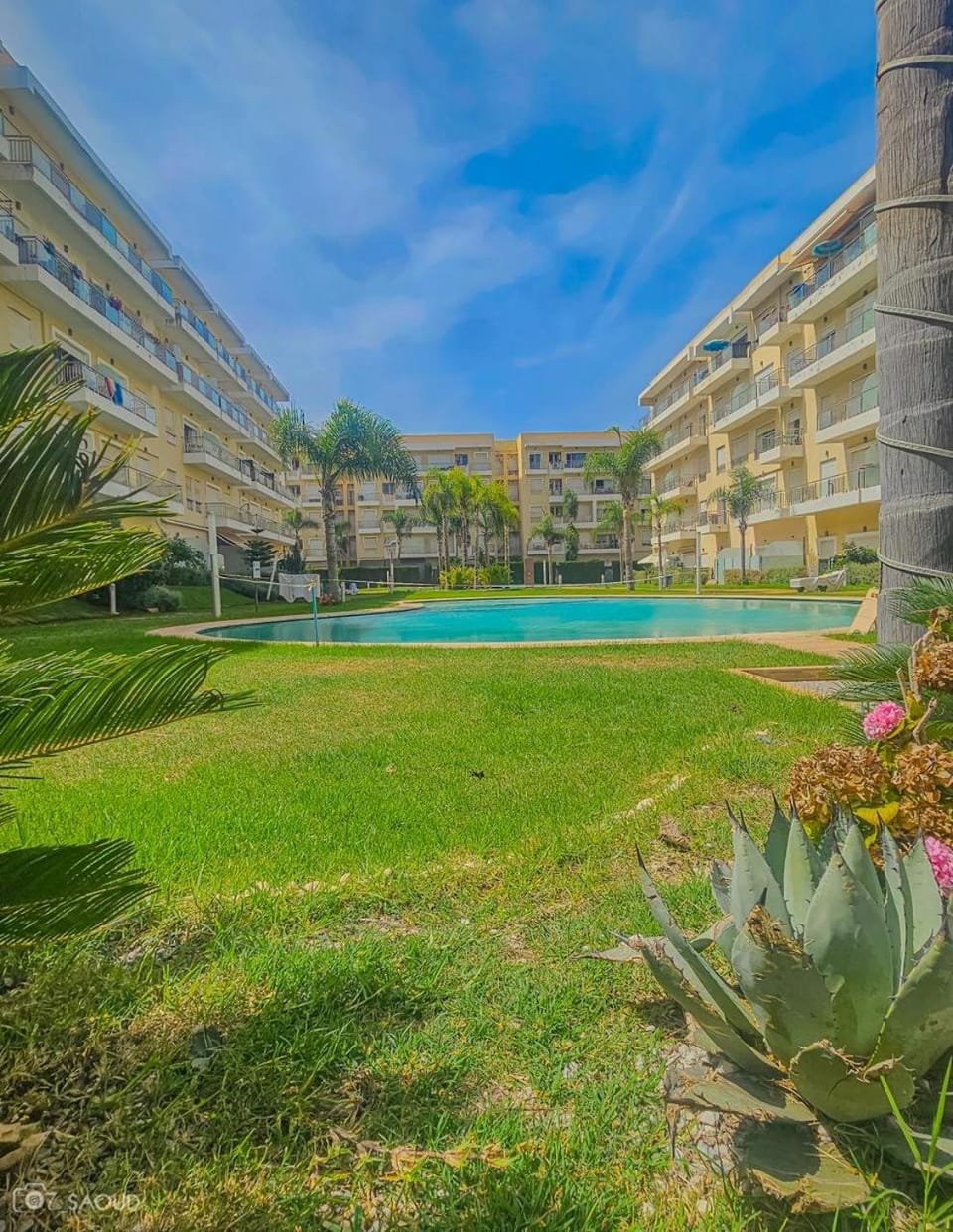 Natural landscape, Garden, Swimming pool