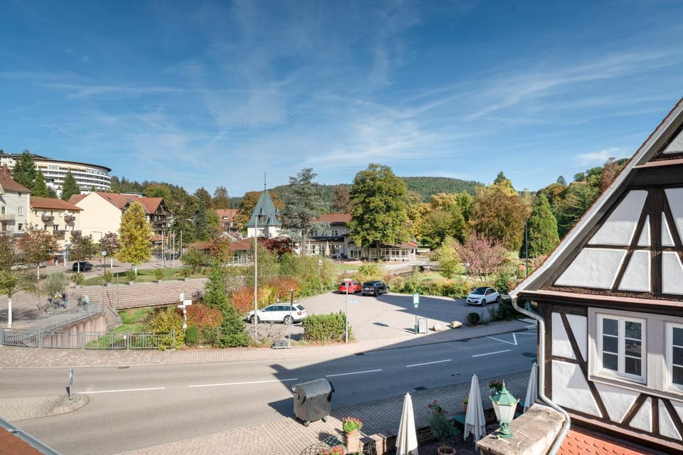 Ferienwohnung-Alte Fachwerkresidenz Apartment in Baden-Württemberg