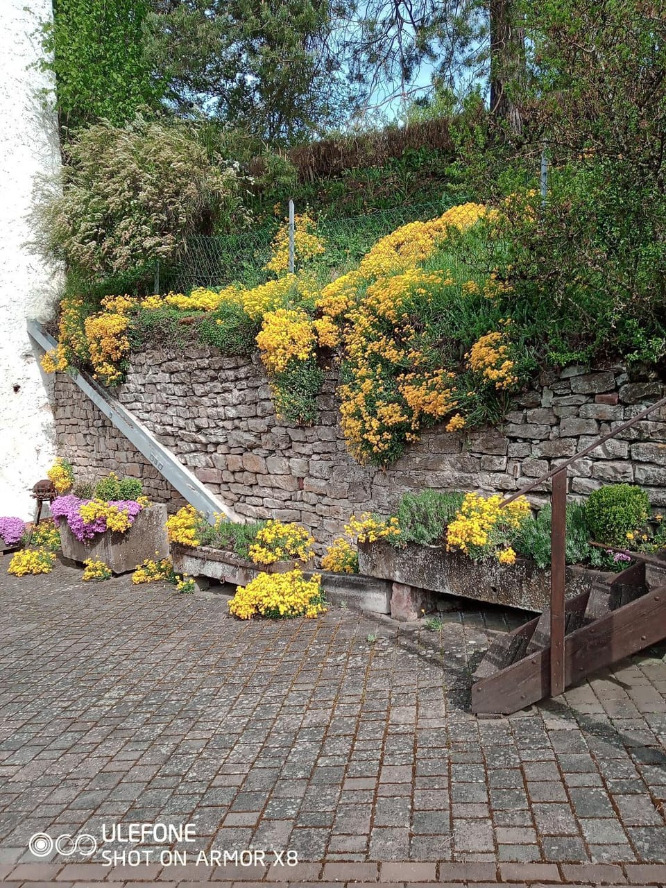 Ferienwohnung Cillien Apartment in Rhineland-Palatinate