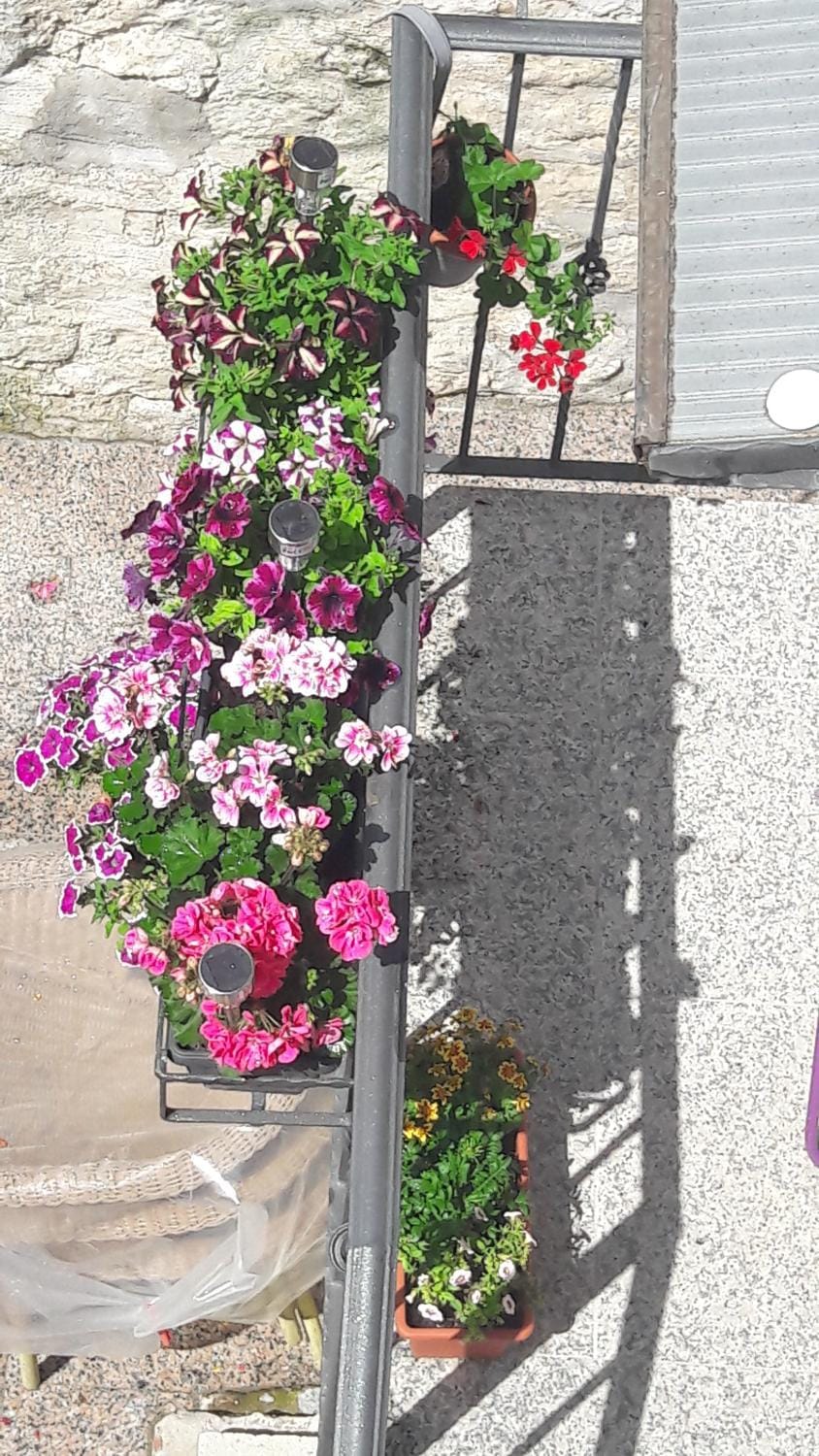 Apartment and Room Nona Stella Bed and Breakfast in Split