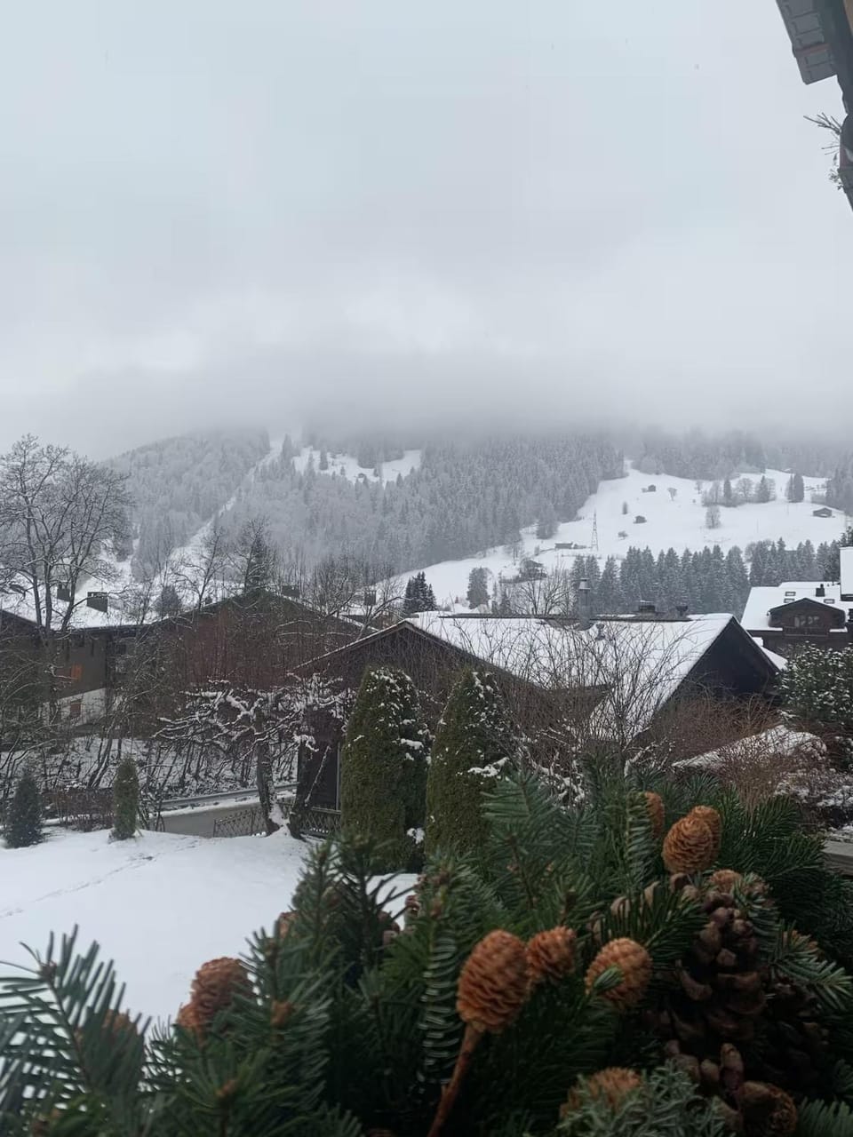 La Promenade Gstaad Apartment in Saanen