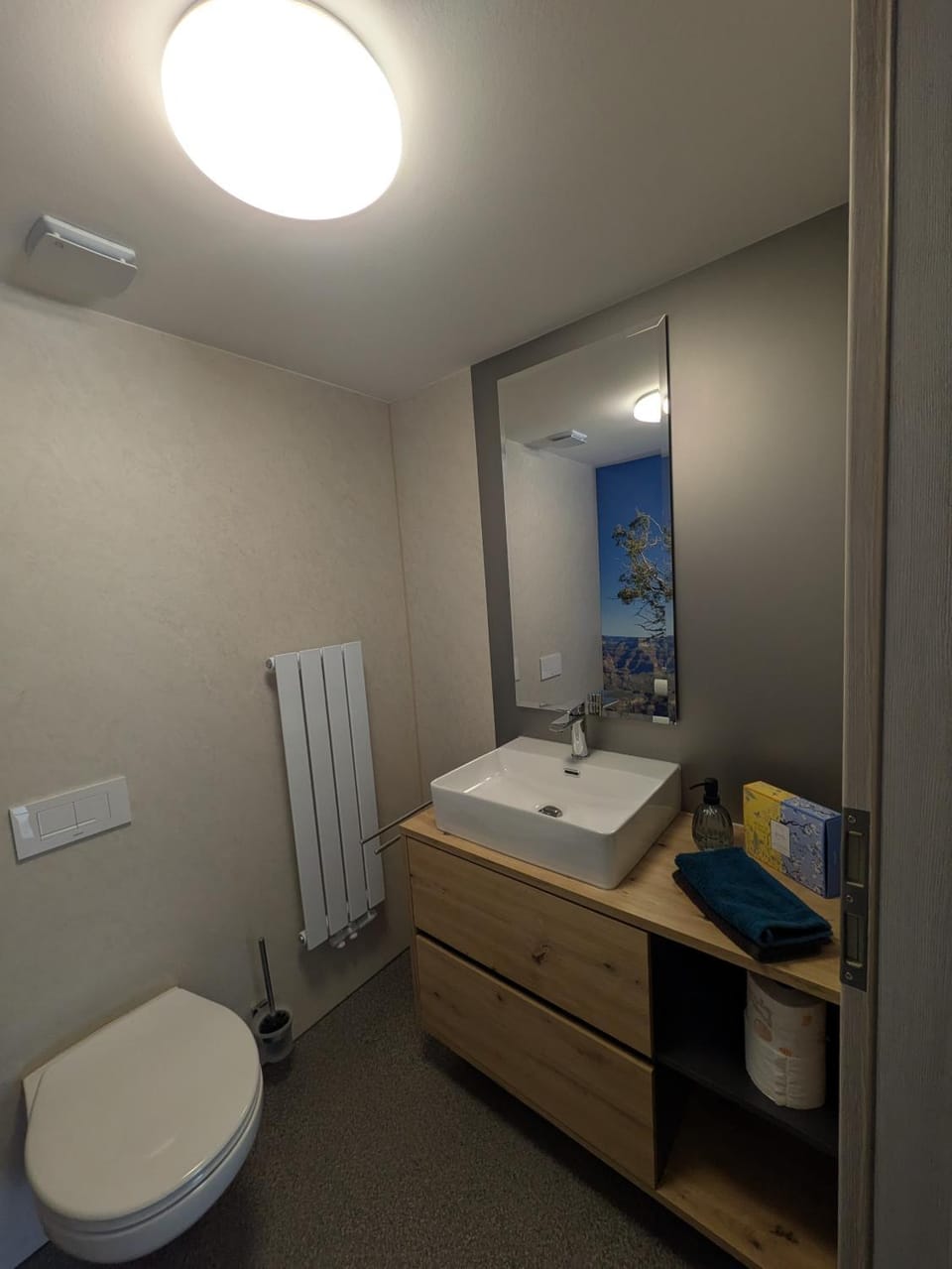 Bathroom, Living room
