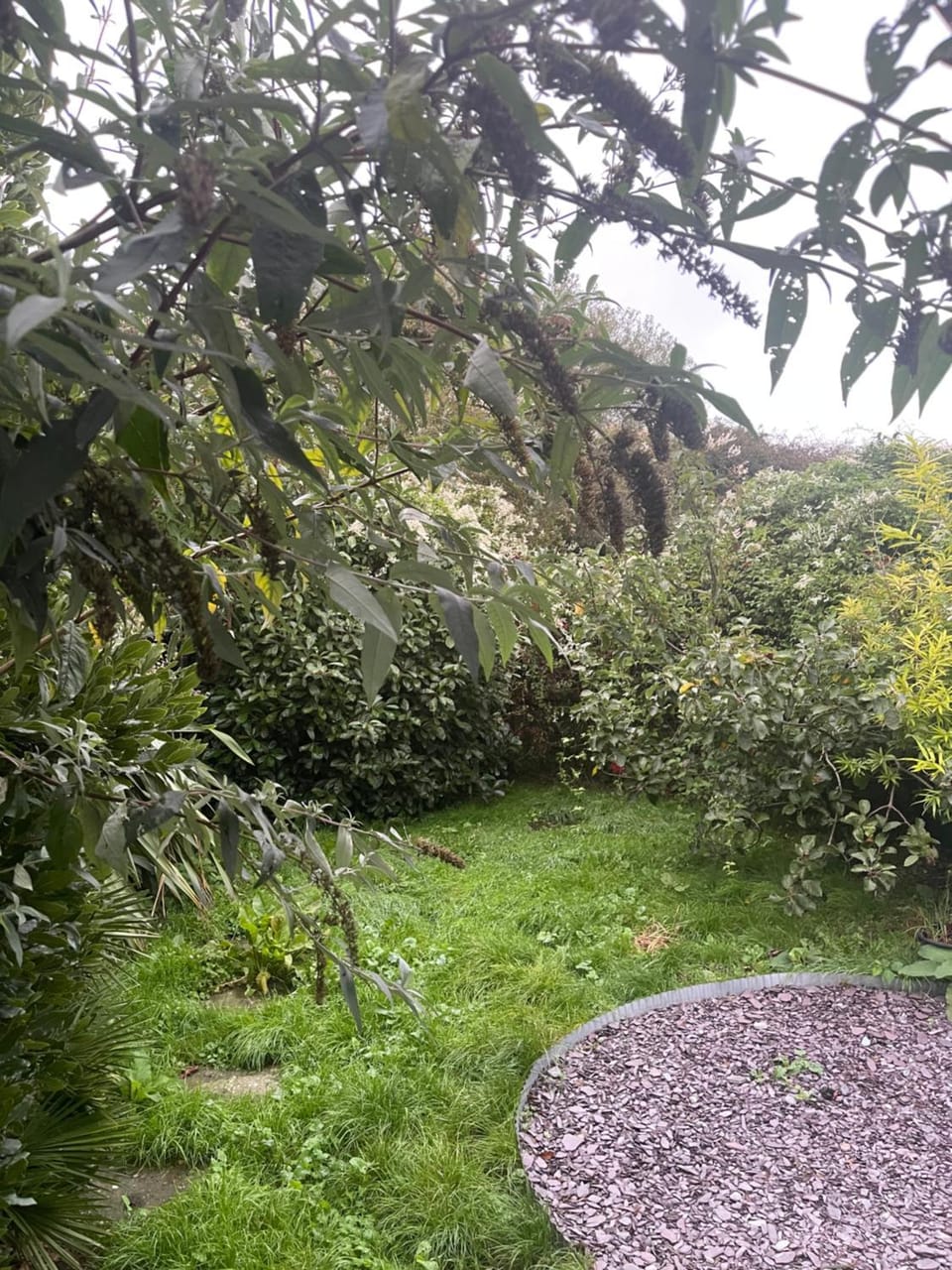 2 Bed Bungalow, Dog Friendly in St Davids House in Saint Davids