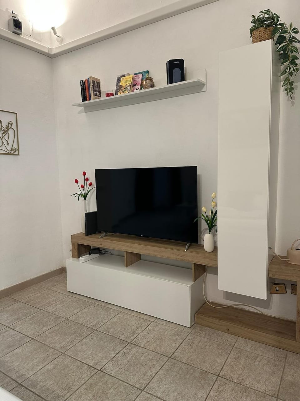 TV and multimedia