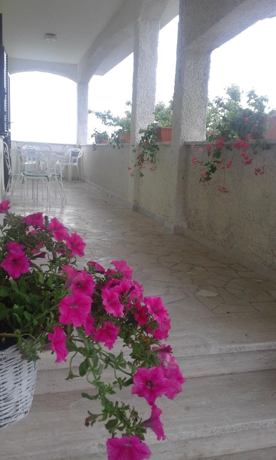 Property building, Patio