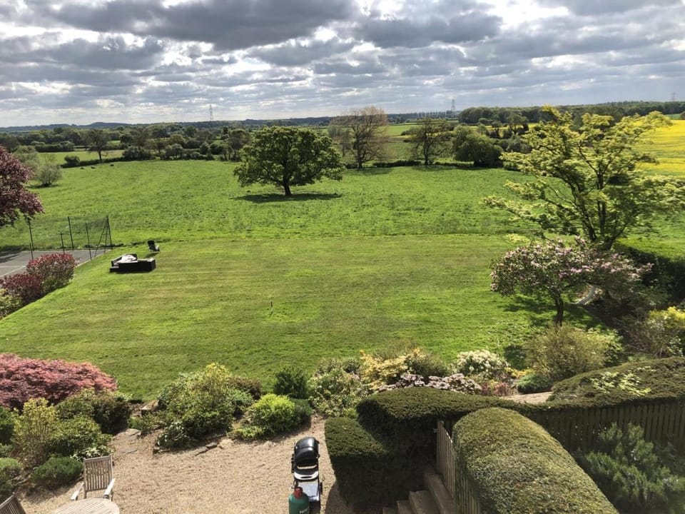 Day, Natural landscape, Bird's eye view, Garden, Garden view