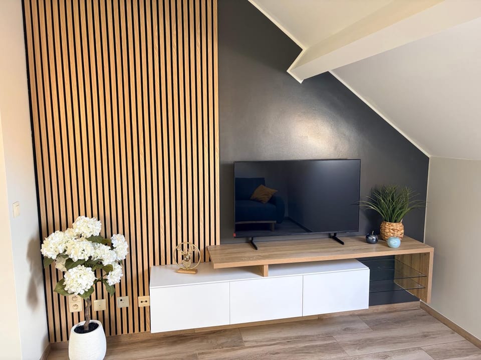 TV and multimedia