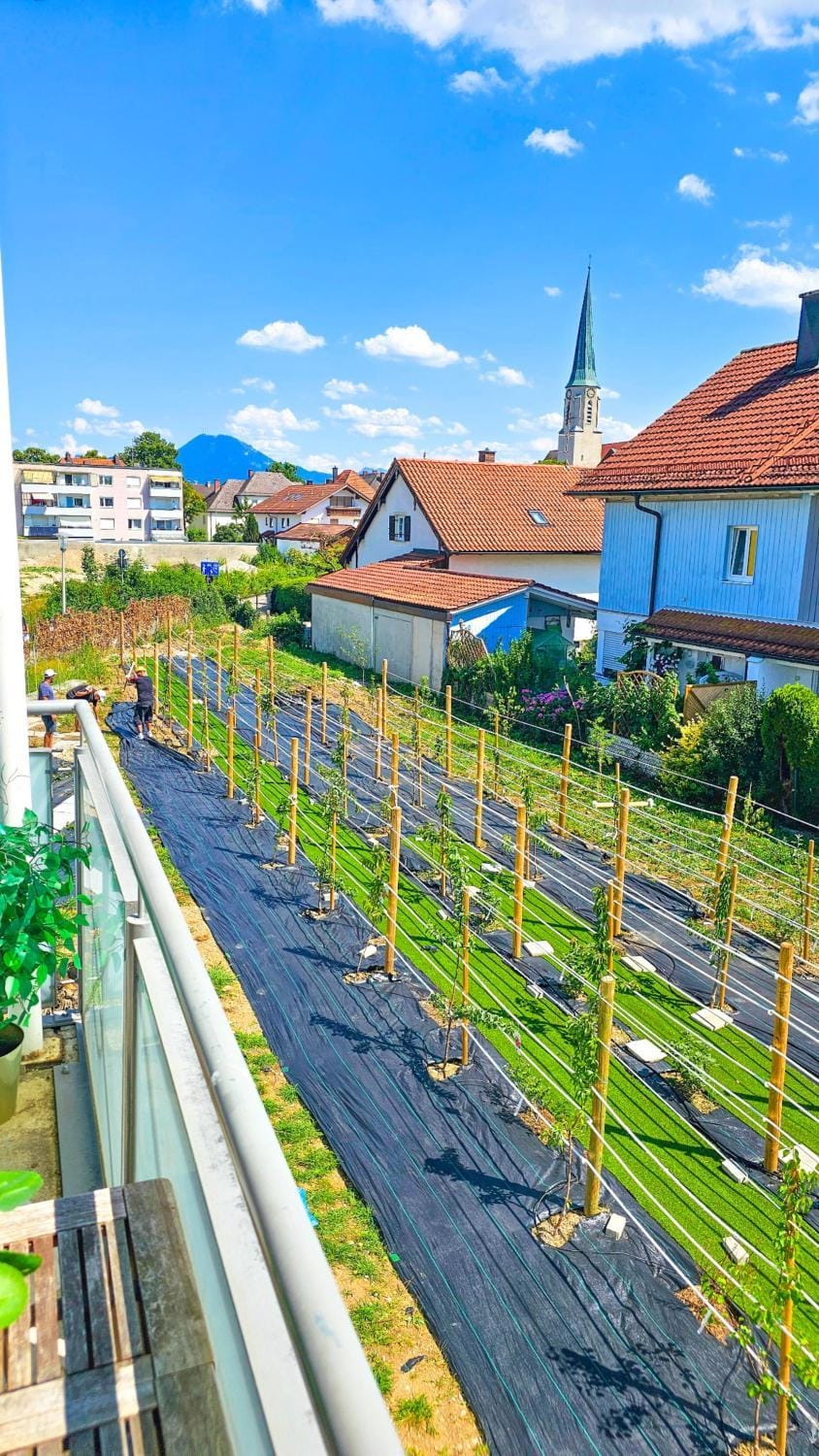 OG2 L City Wohnung mit Balkon 15min bis Salzburg Apartment in Berchtesgadener Land