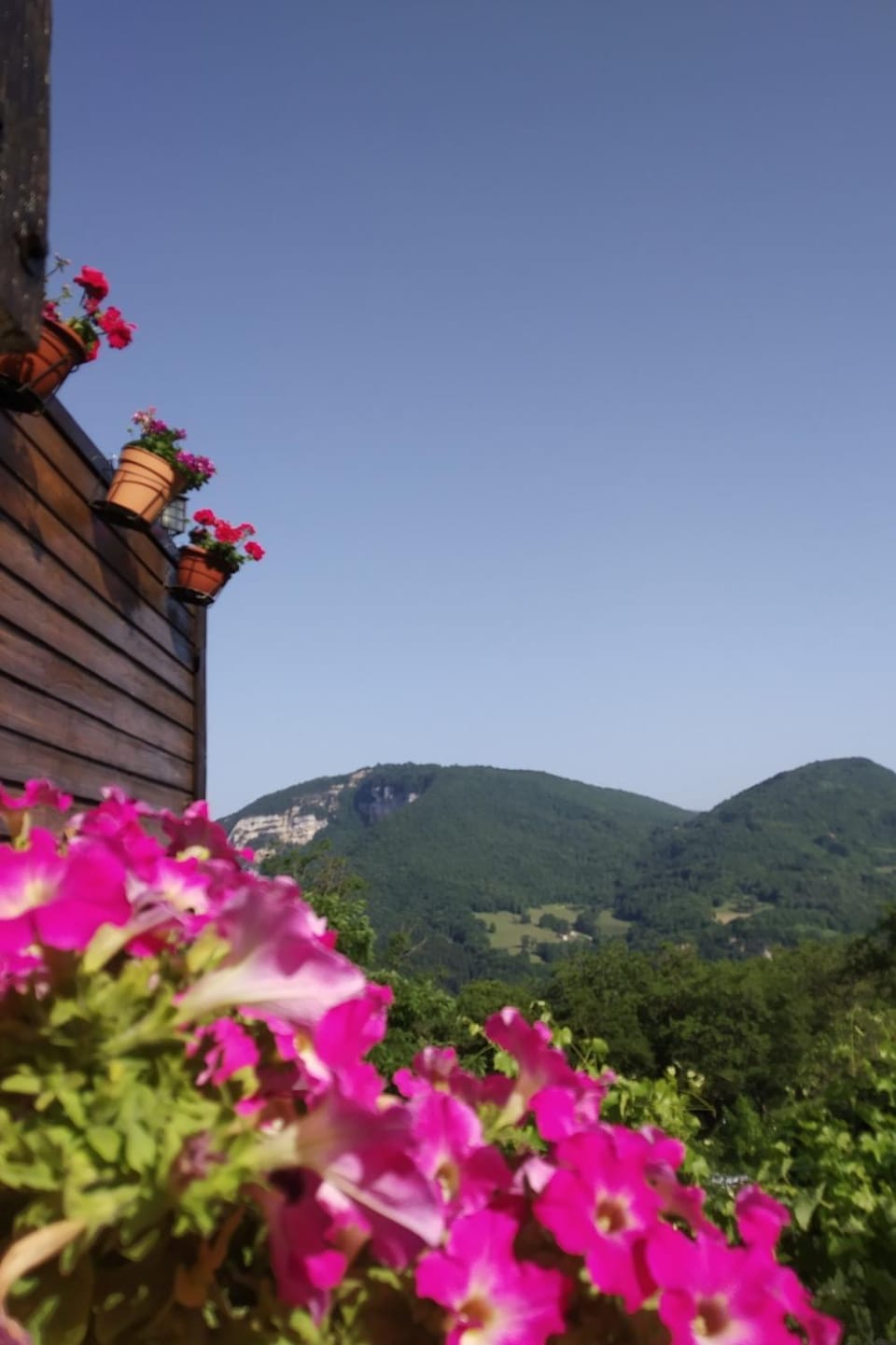 Mountain view