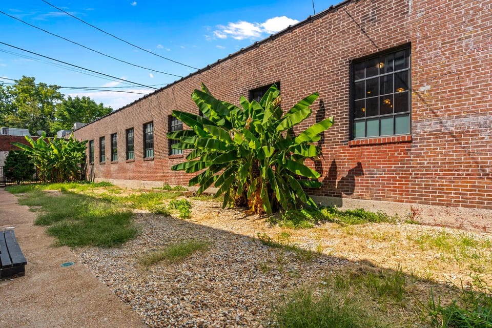 Property building, Garden
