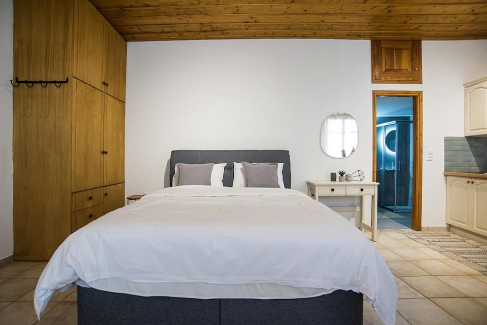 Archonticon studio in Arachova Apartment in Greece