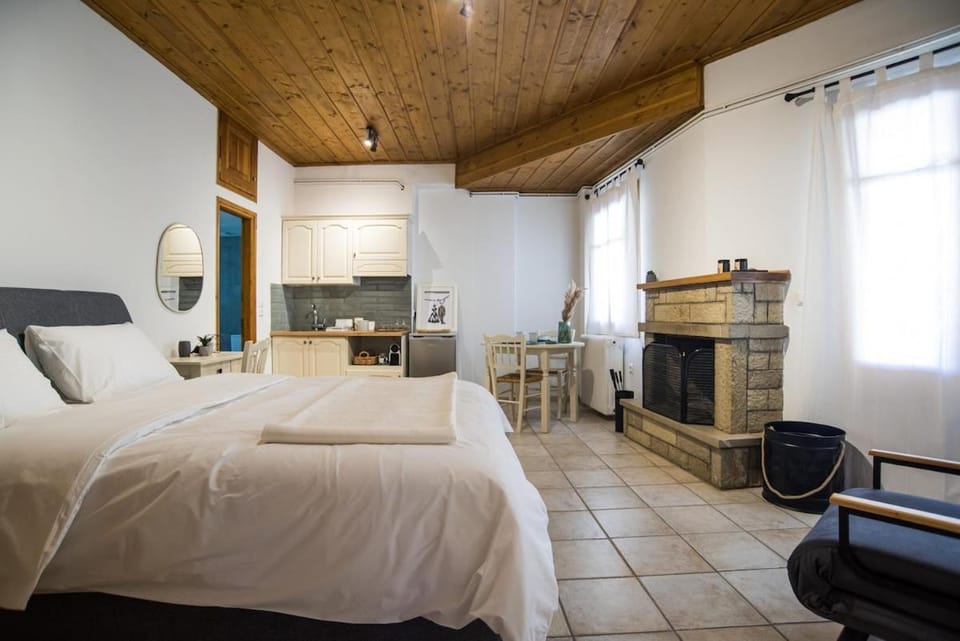 Archonticon studio in Arachova Apartment in Greece