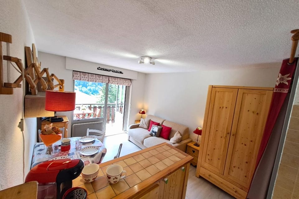Grand-Bornand heart studio mountain view Apartment in Le Grand-Bornand