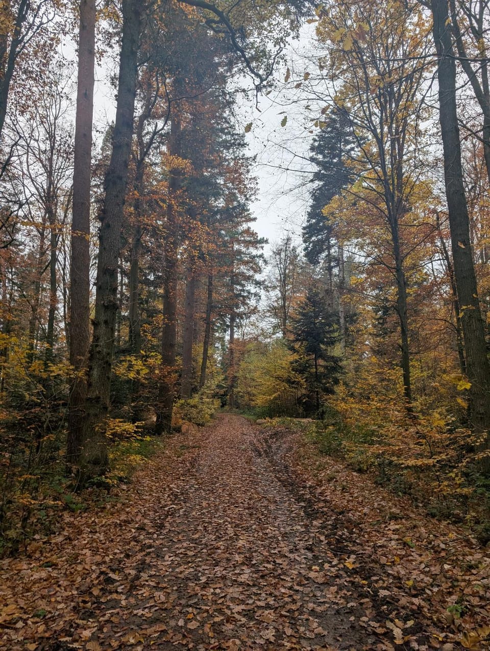 Natural landscape