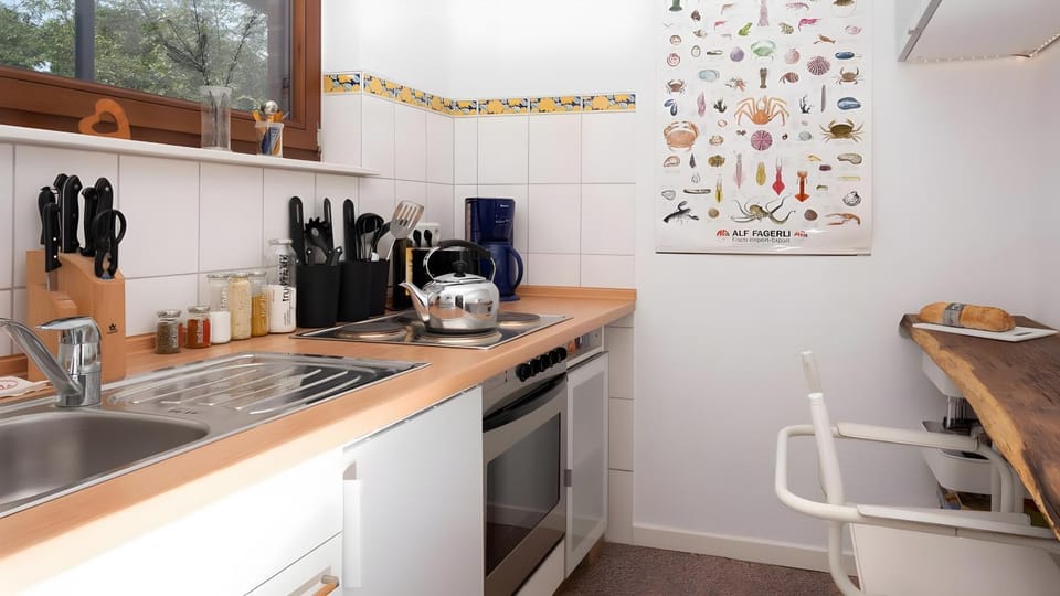 Kitchen or kitchenette, Living room