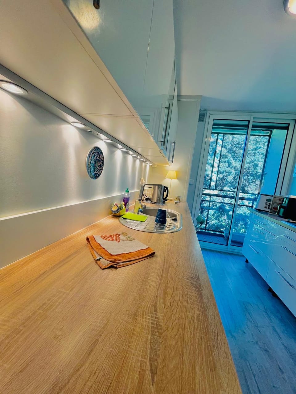 Kitchen or kitchenette