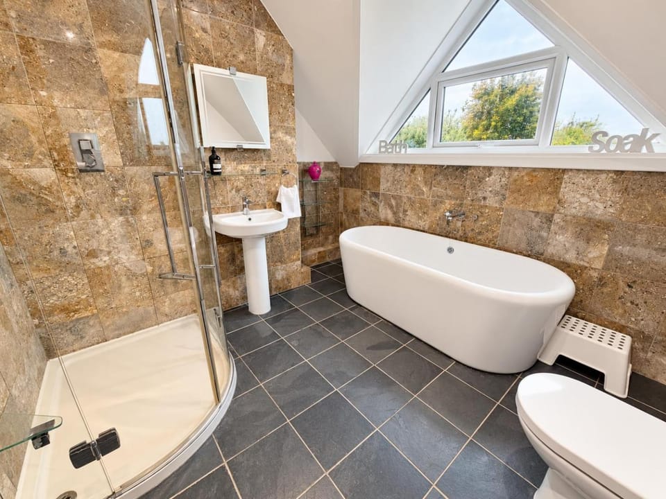 Shower, Toilet, Bathroom, Bath