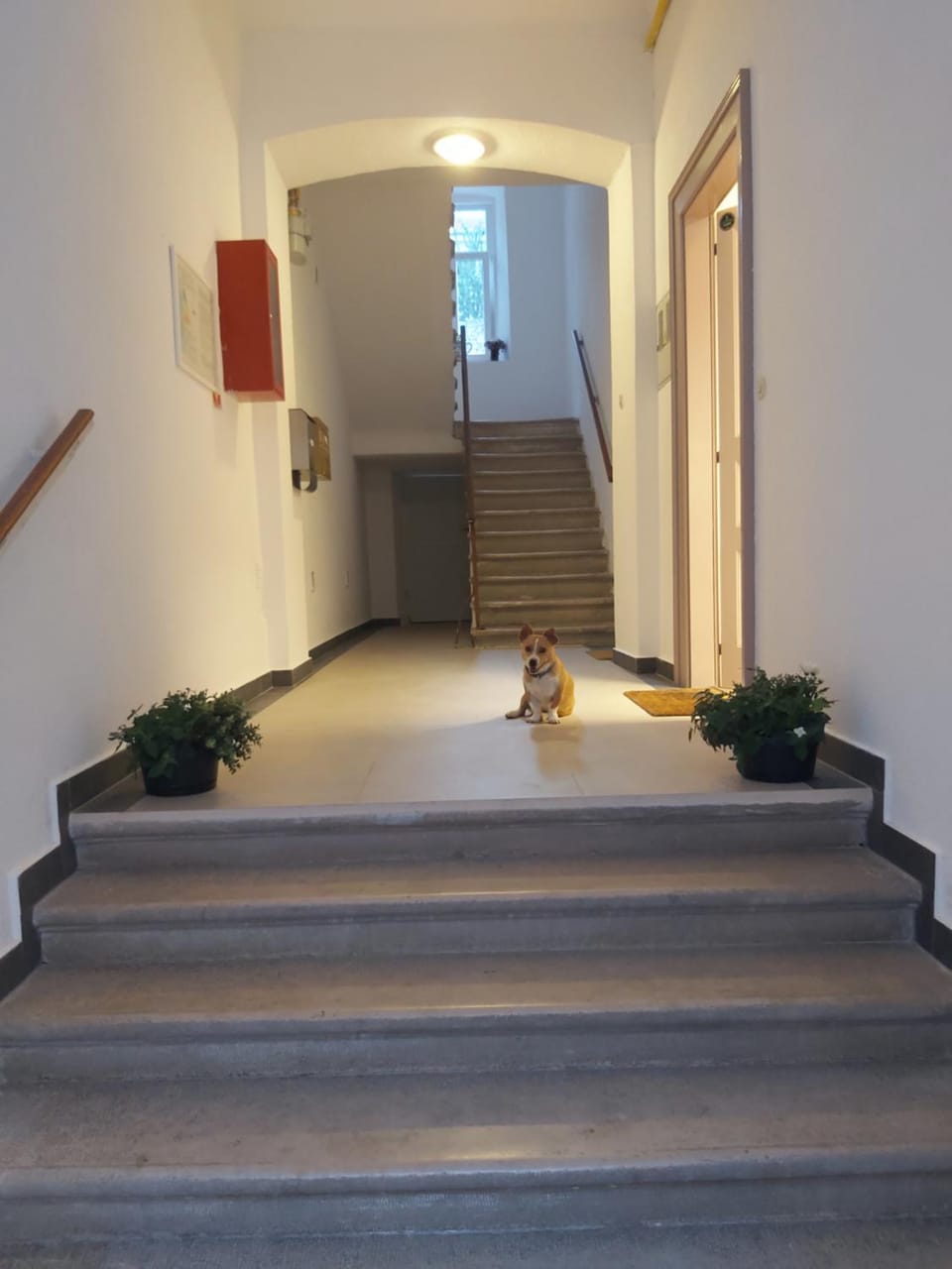 Apartman Draguć Apartment in Pula
