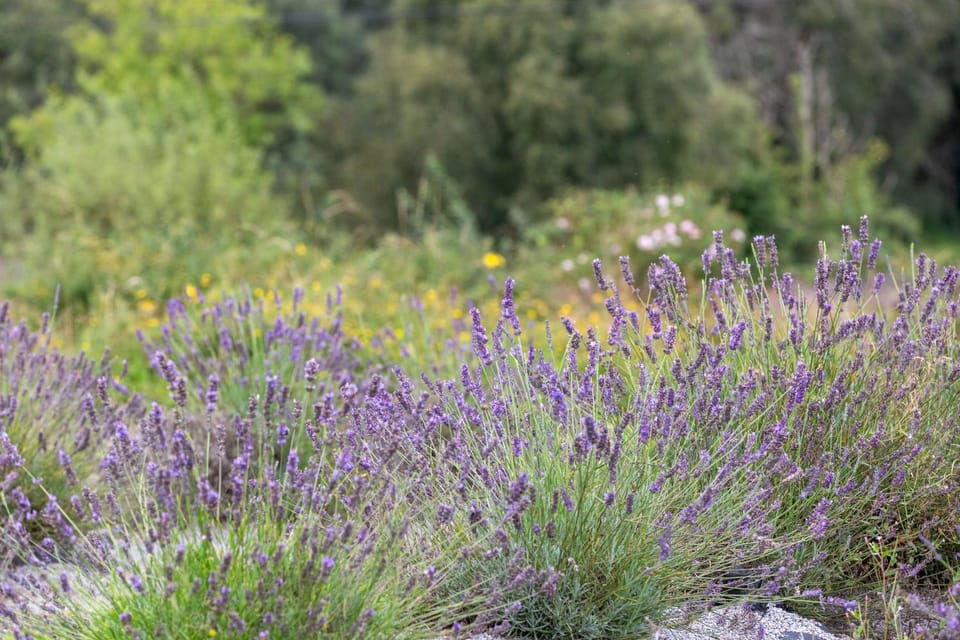 Mountshannon cottage Apartment in County Clare