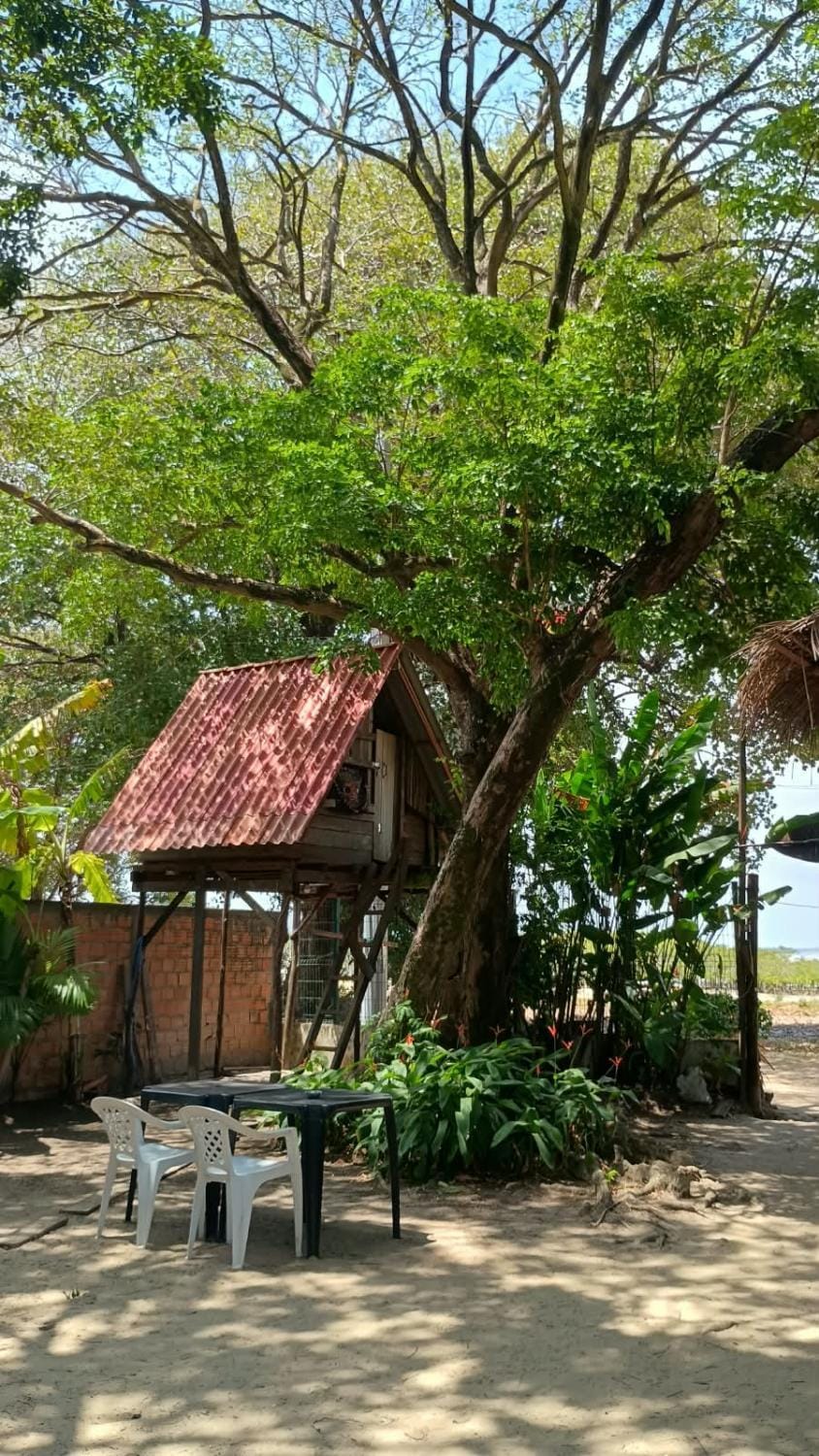 Eco Hostel Dona Helo - Algodoal Hostel in State of Pará