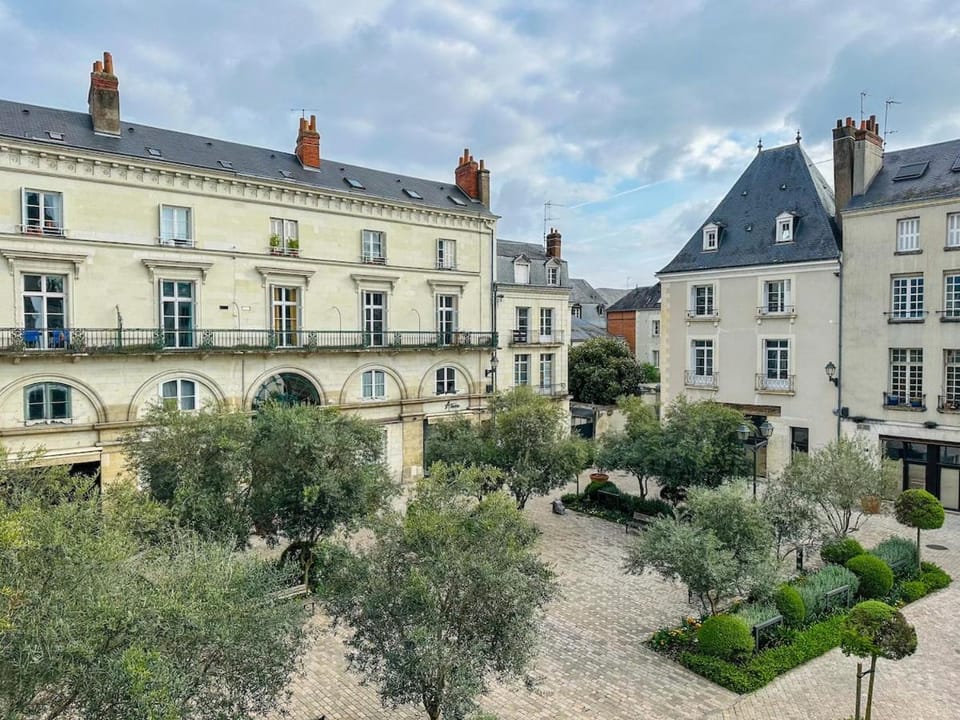 TheMarguerite-apartment-ToursDownTown Apartment in Tours