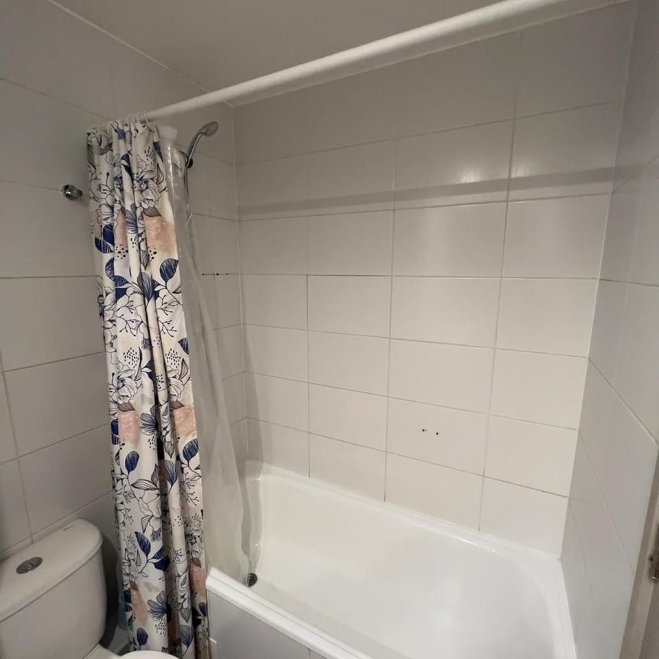 Central Premium Studio Apartment in Santiago