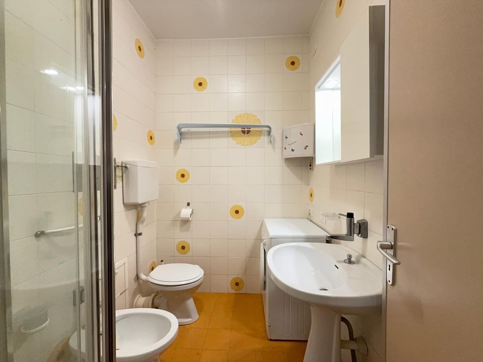 Shower, Toilet, Bathroom, bidet
