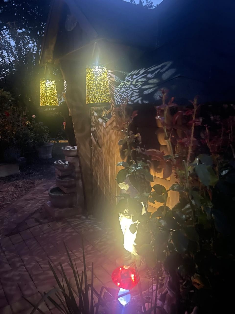 Night, Garden view