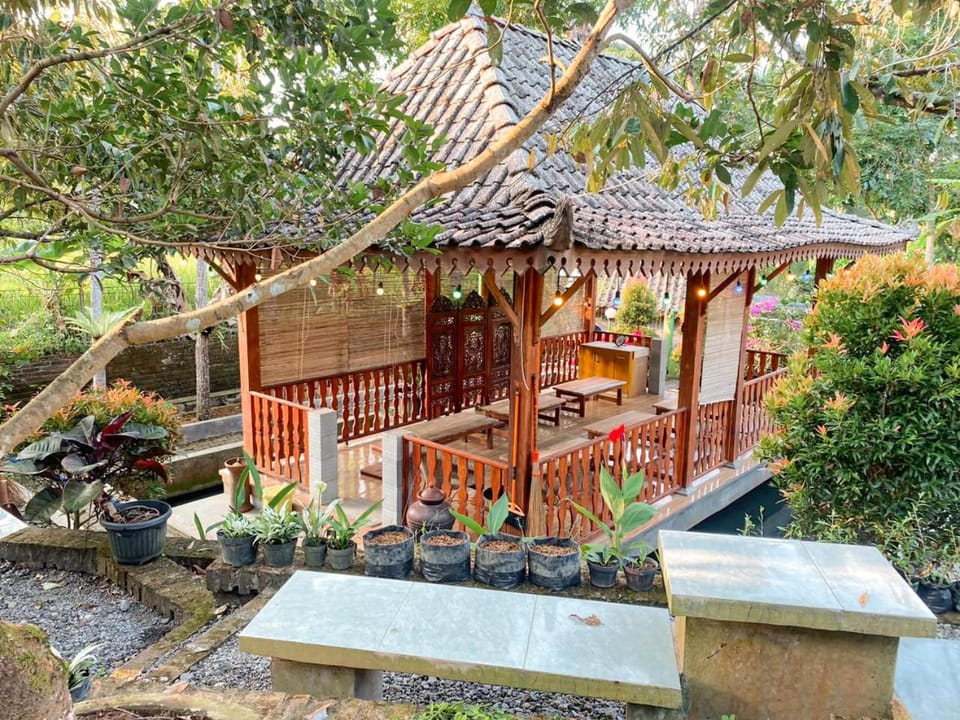 Balcony/Terrace, Garden view