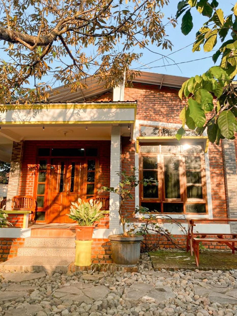 Property building, Garden view