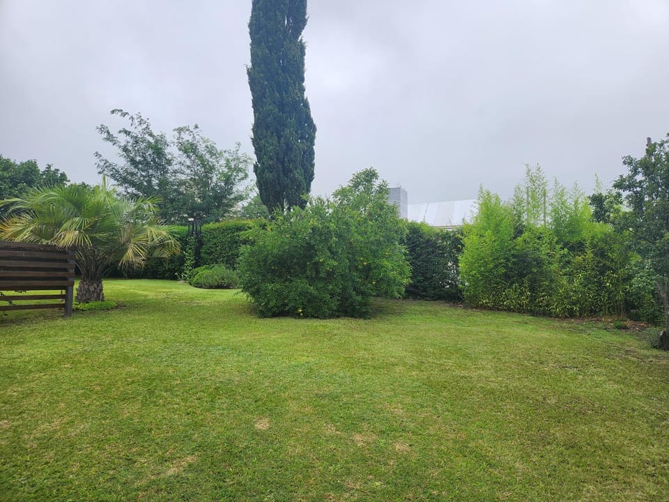 Natural landscape, Garden view