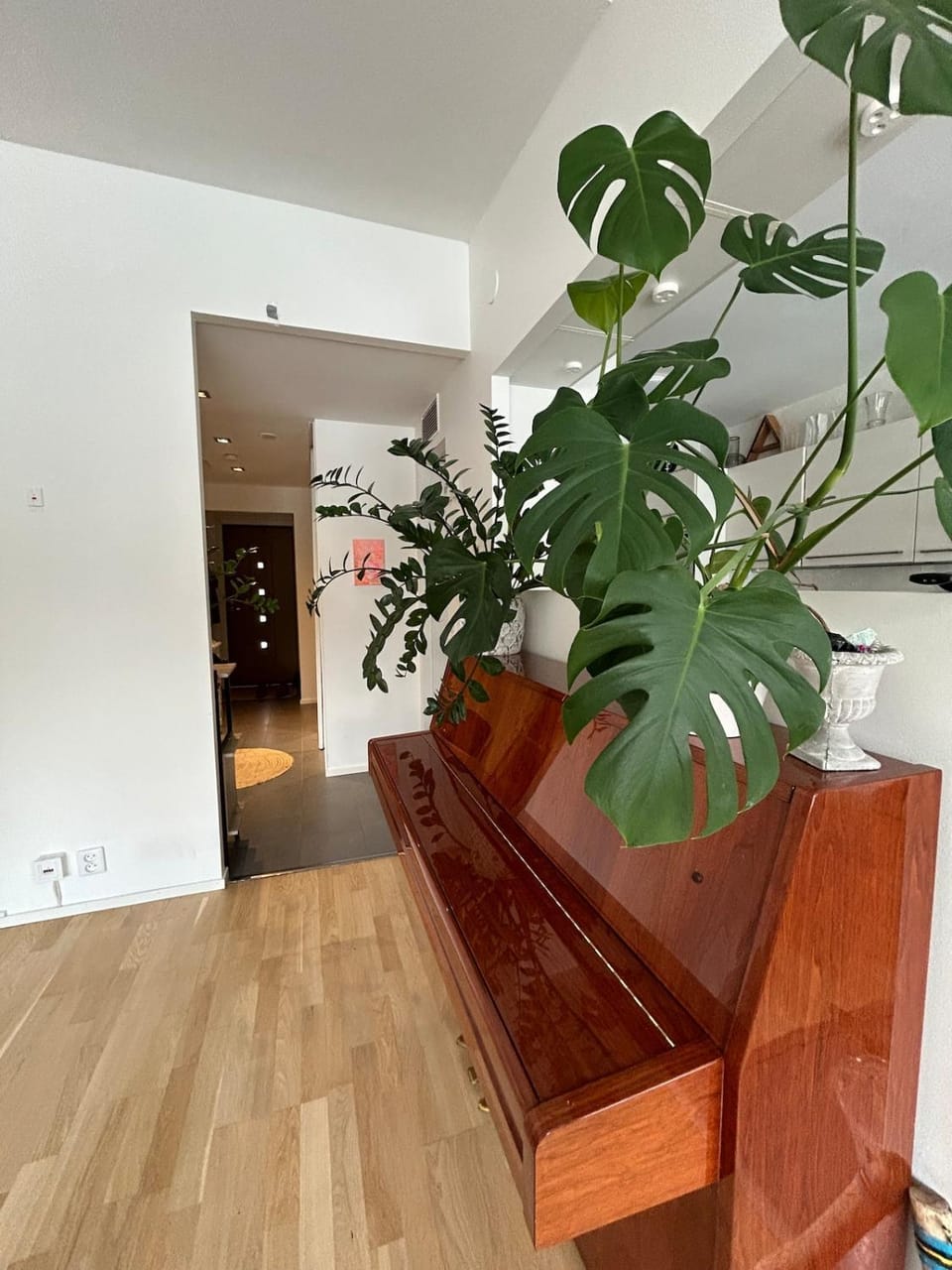 Spacious 1 bedroom apartment with sauna Apartment in Uusimaa