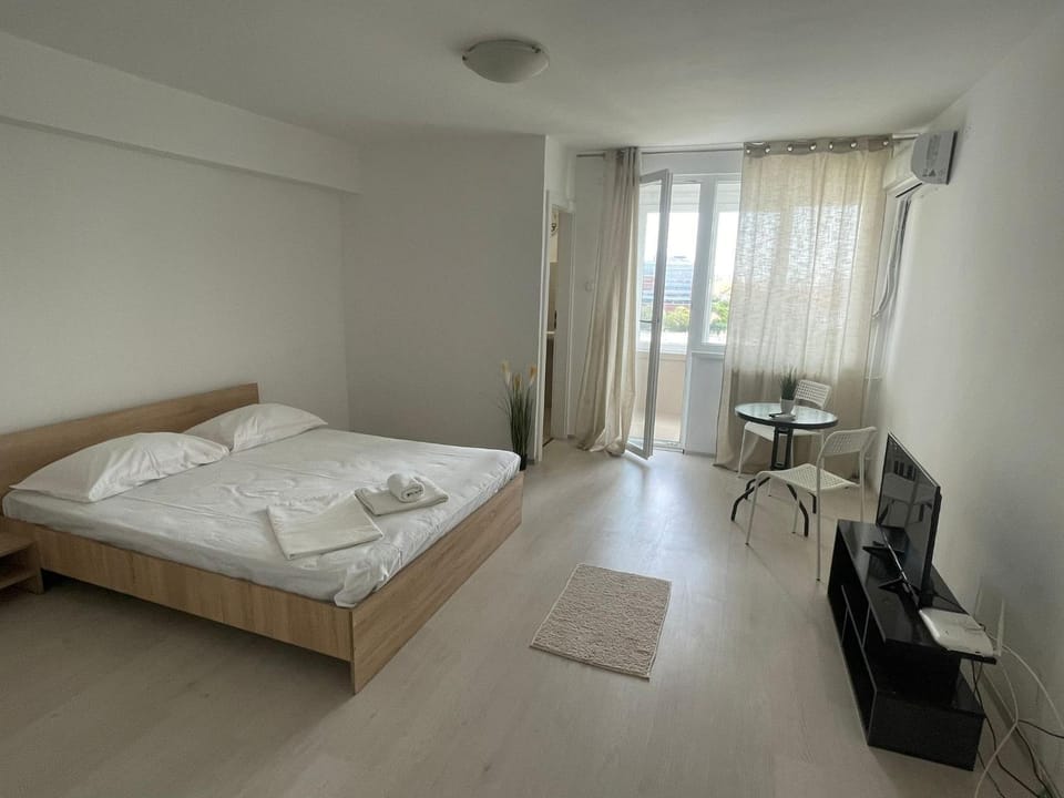 1 room Near City Center Apartment in Timisoara